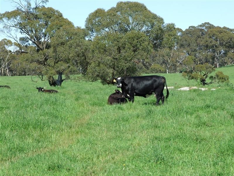 Oberon NSW 2787