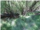 Oberon NSW 2787