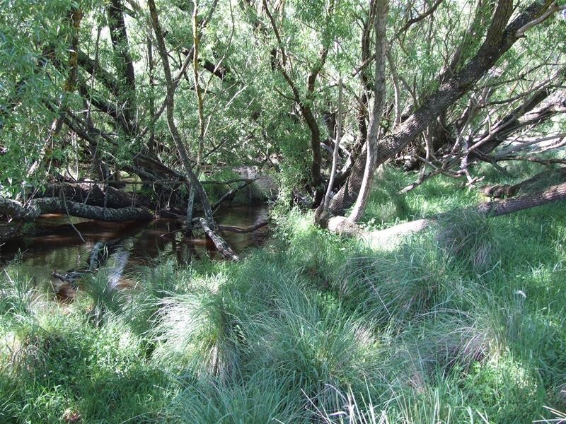 Oberon NSW 2787