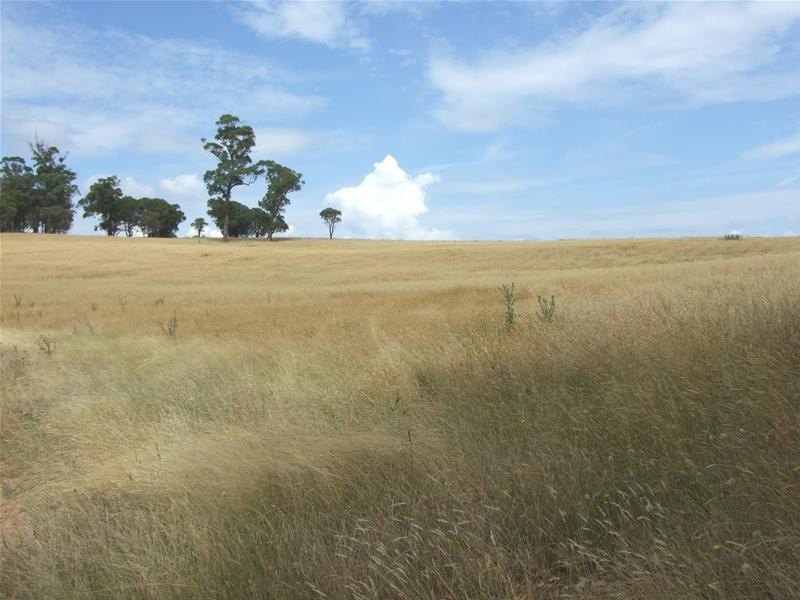 Oberon NSW 2787