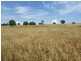 Oberon NSW 2787
