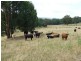 Oberon NSW 2787