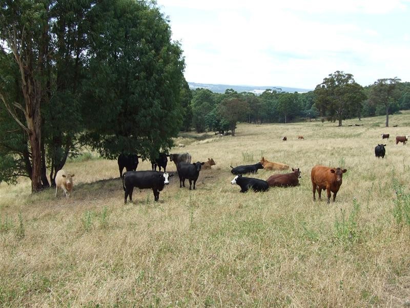 Oberon NSW 2787
