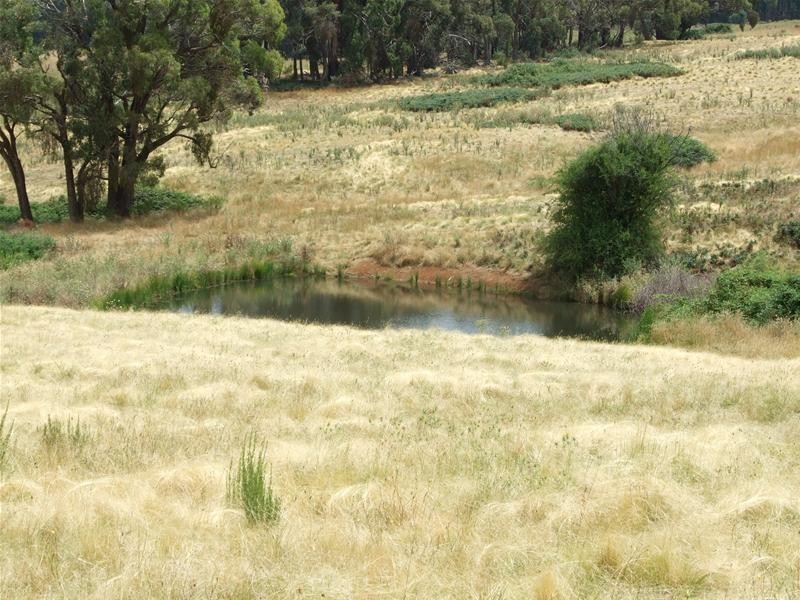 Burraga NSW 2795