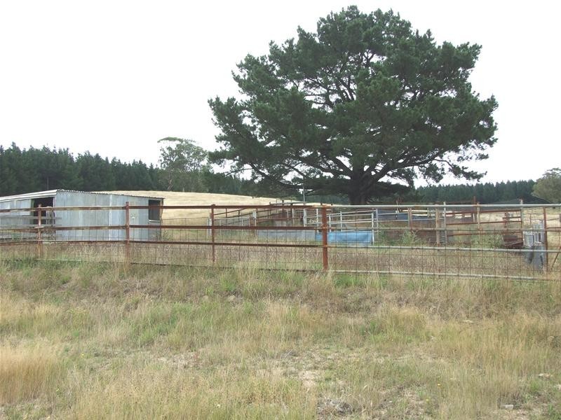 Meadow Flat NSW 2795