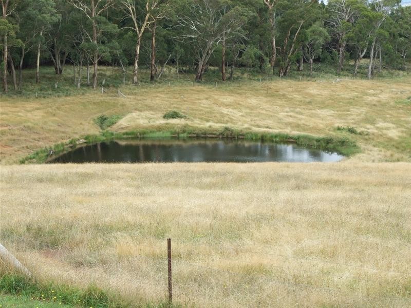 Meadow Flat NSW 2795