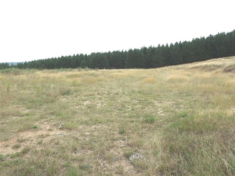 Meadow Flat NSW 2795