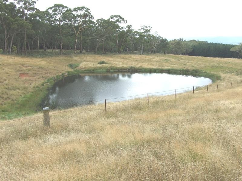 Meadow Flat NSW 2795