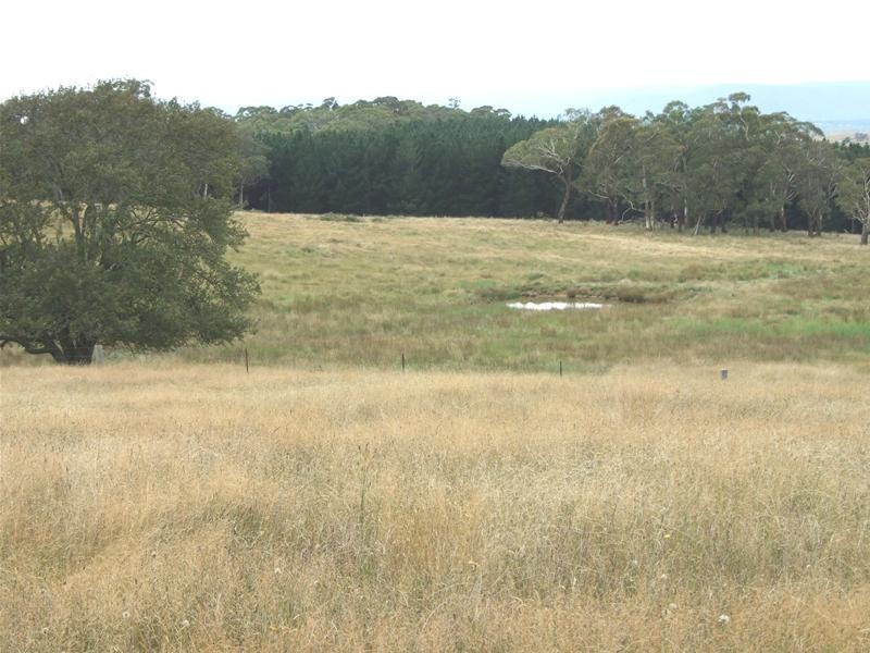 Meadow Flat NSW 2795