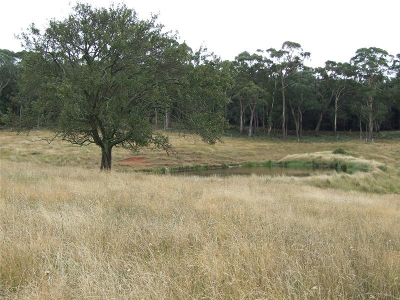 Meadow Flat NSW 2795