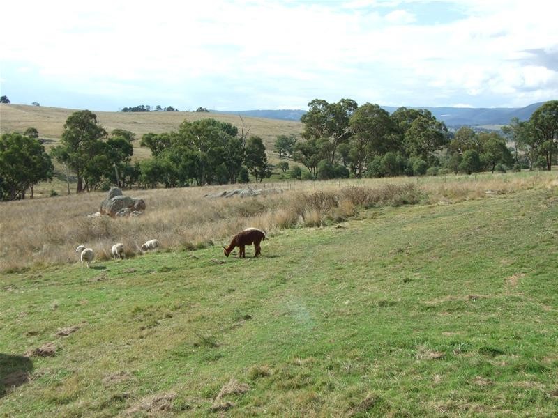 O’connell NSW 2795