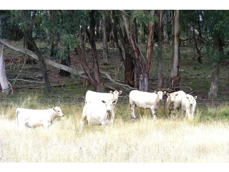 Oberon NSW 2787