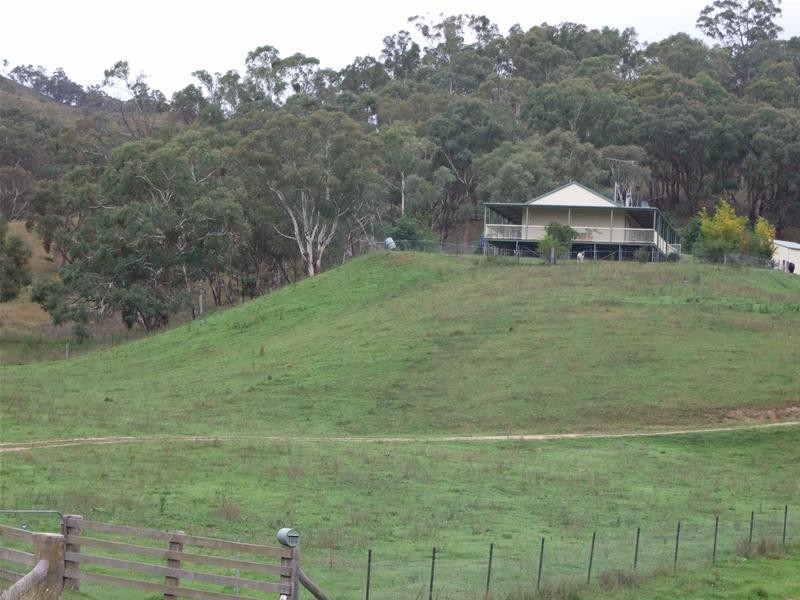 Kanimbla NSW 2790