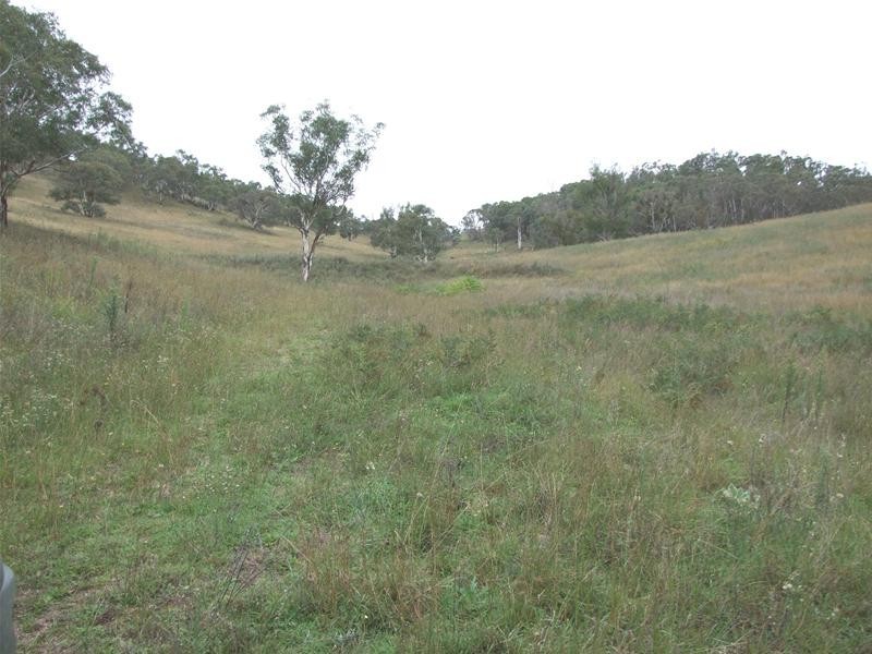 Kanimbla NSW 2790