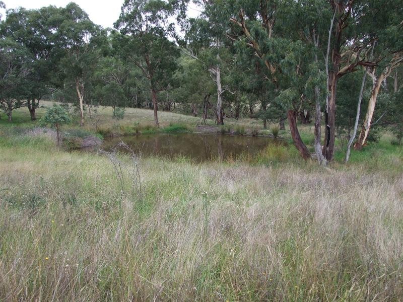 Kanimbla NSW 2790