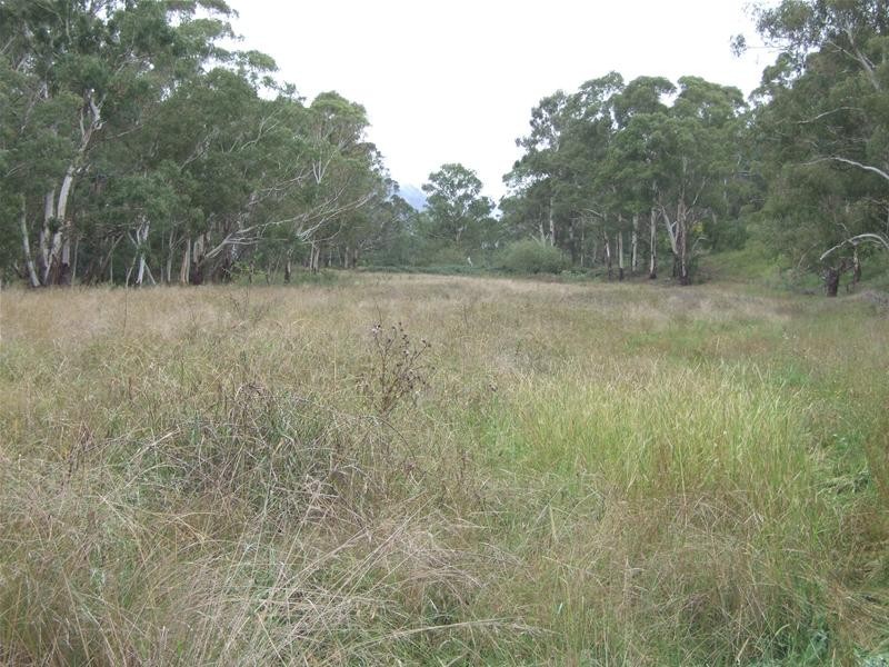 Kanimbla NSW 2790