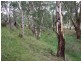Kanimbla NSW 2790