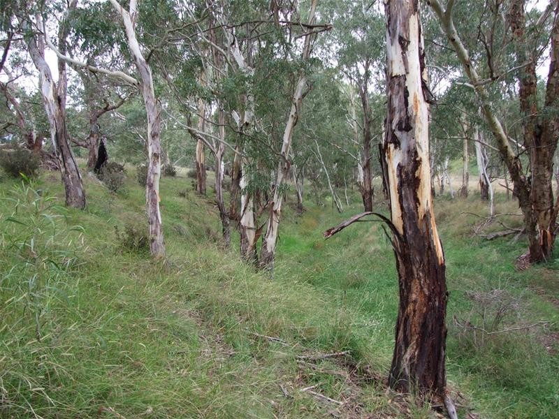 Kanimbla NSW 2790