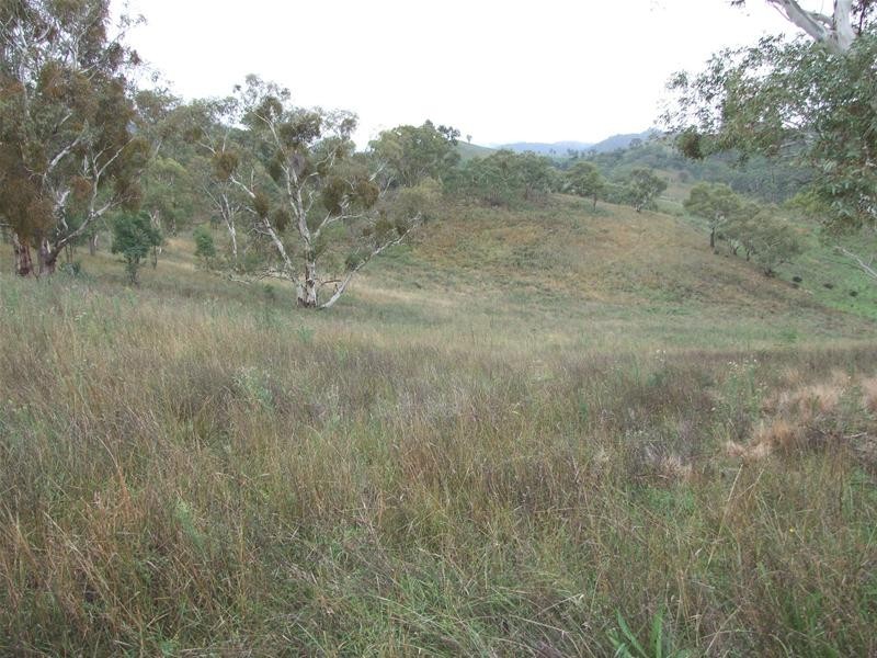 Kanimbla NSW 2790