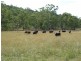 Kanimbla NSW 2790