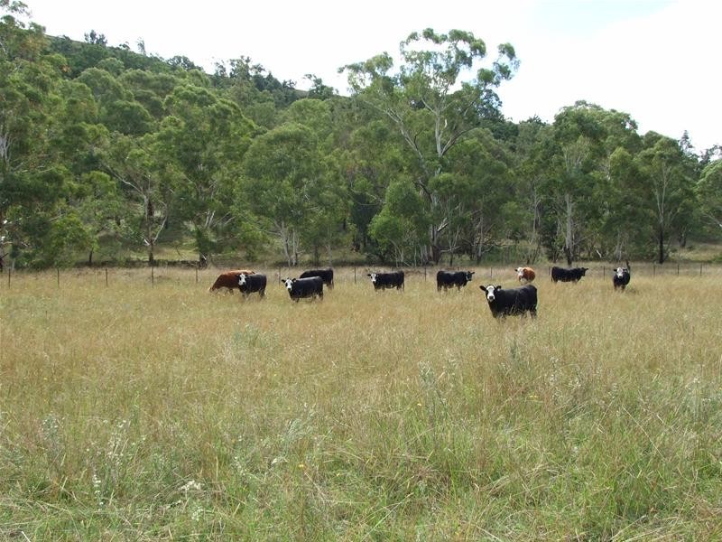 Kanimbla NSW 2790