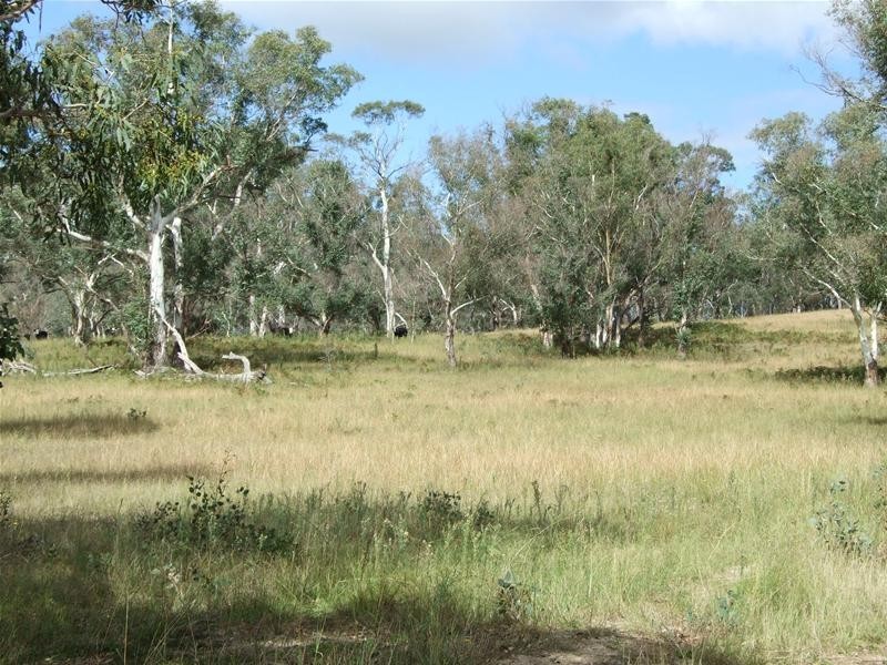 Kanimbla NSW 2790