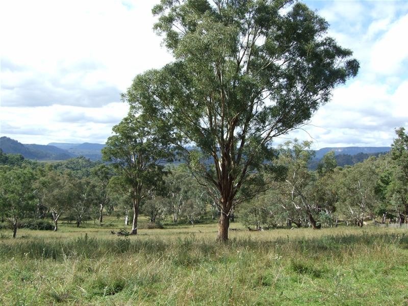 Kanimbla NSW 2790