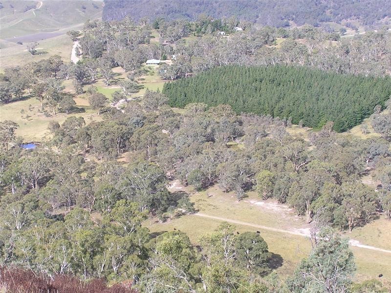 Kanimbla NSW 2790