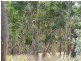 Oberon NSW 2787