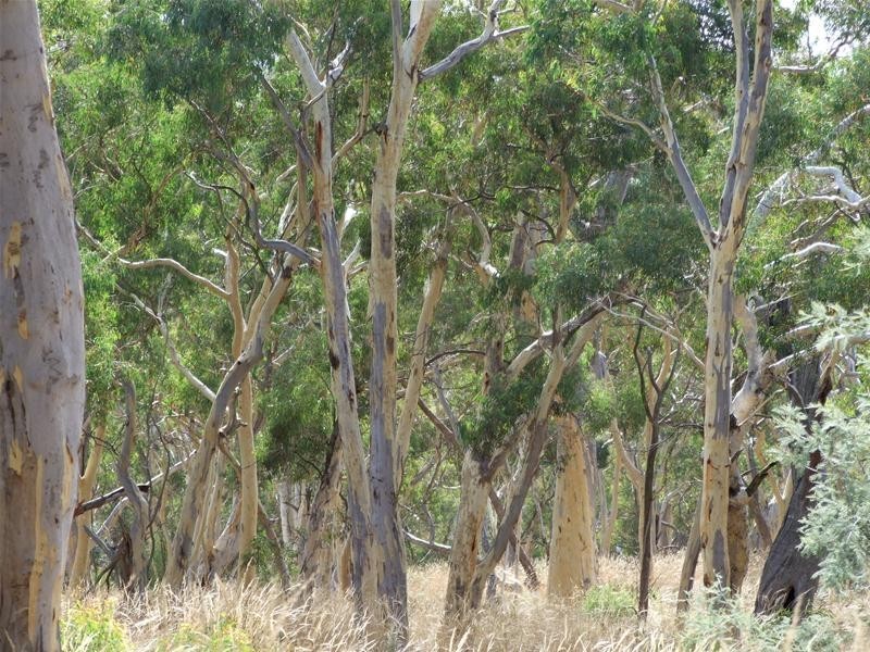 Oberon NSW 2787