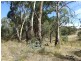 Oberon NSW 2787