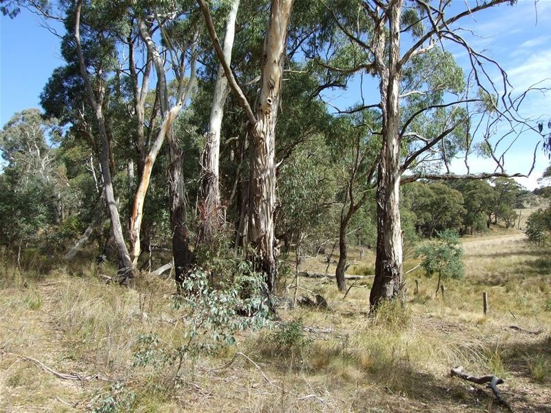 Oberon NSW 2787