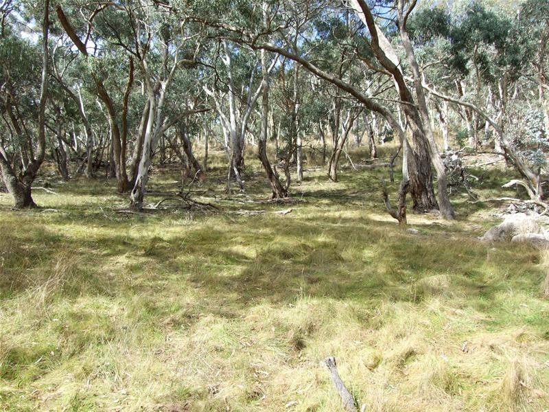 Oberon NSW 2787