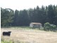Oberon NSW 2787