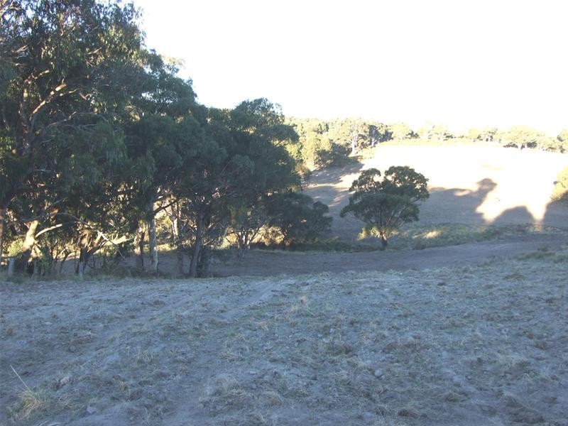Oberon NSW 2787