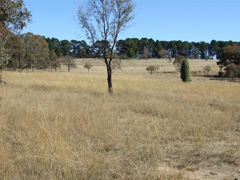 Tarana NSW 2787