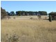 Tarana NSW 2787