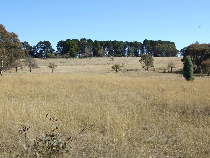 Tarana NSW 2787