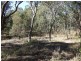 Tarana NSW 2787