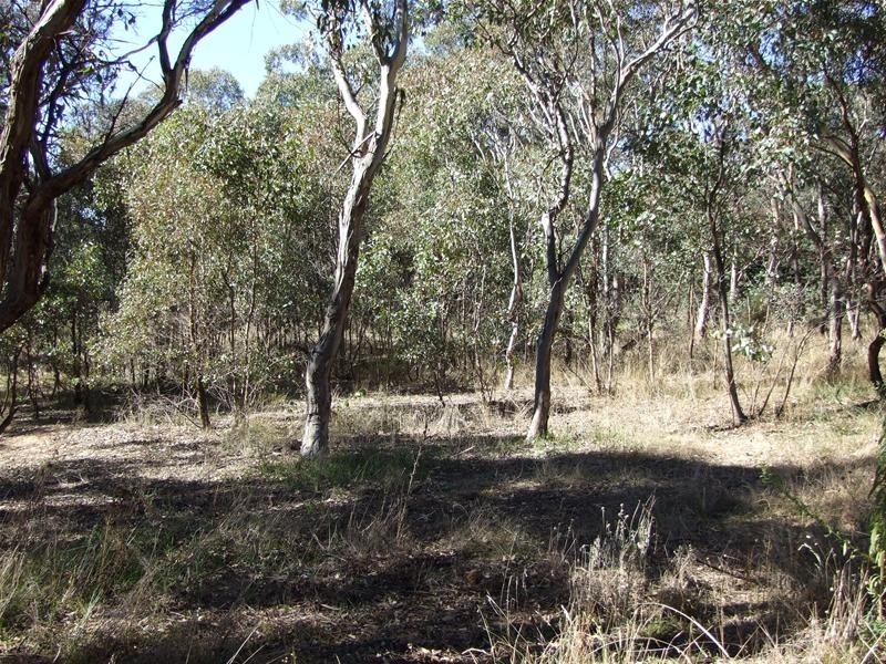 Tarana NSW 2787