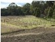 Oberon NSW 2787