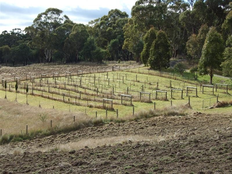 Oberon NSW 2787