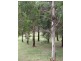 Oberon NSW 2787