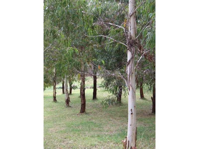 Oberon NSW 2787