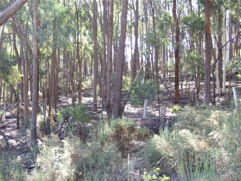 O’connell NSW 2795