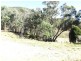O’connell NSW 2795