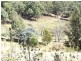 O’connell NSW 2795
