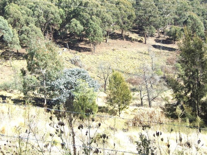 O’connell NSW 2795