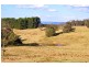 Hampton NSW 2790