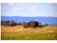 Hampton NSW 2790